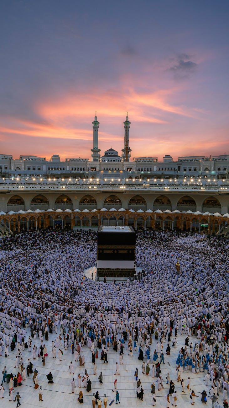 الصيانة والتشغيل